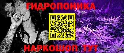 МДПВ Рыбинск