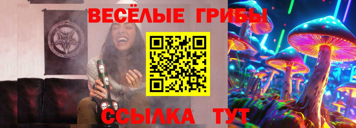 Галлюциногенные грибы Cubensis  Вход с VPN  Нефтекамск 